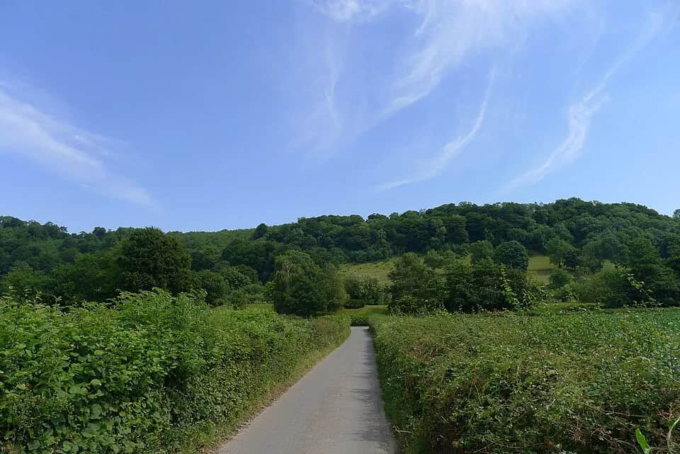 A country lane between tall green hedgerows leading toward the wooded plateau of Uley Bury under a blue sky