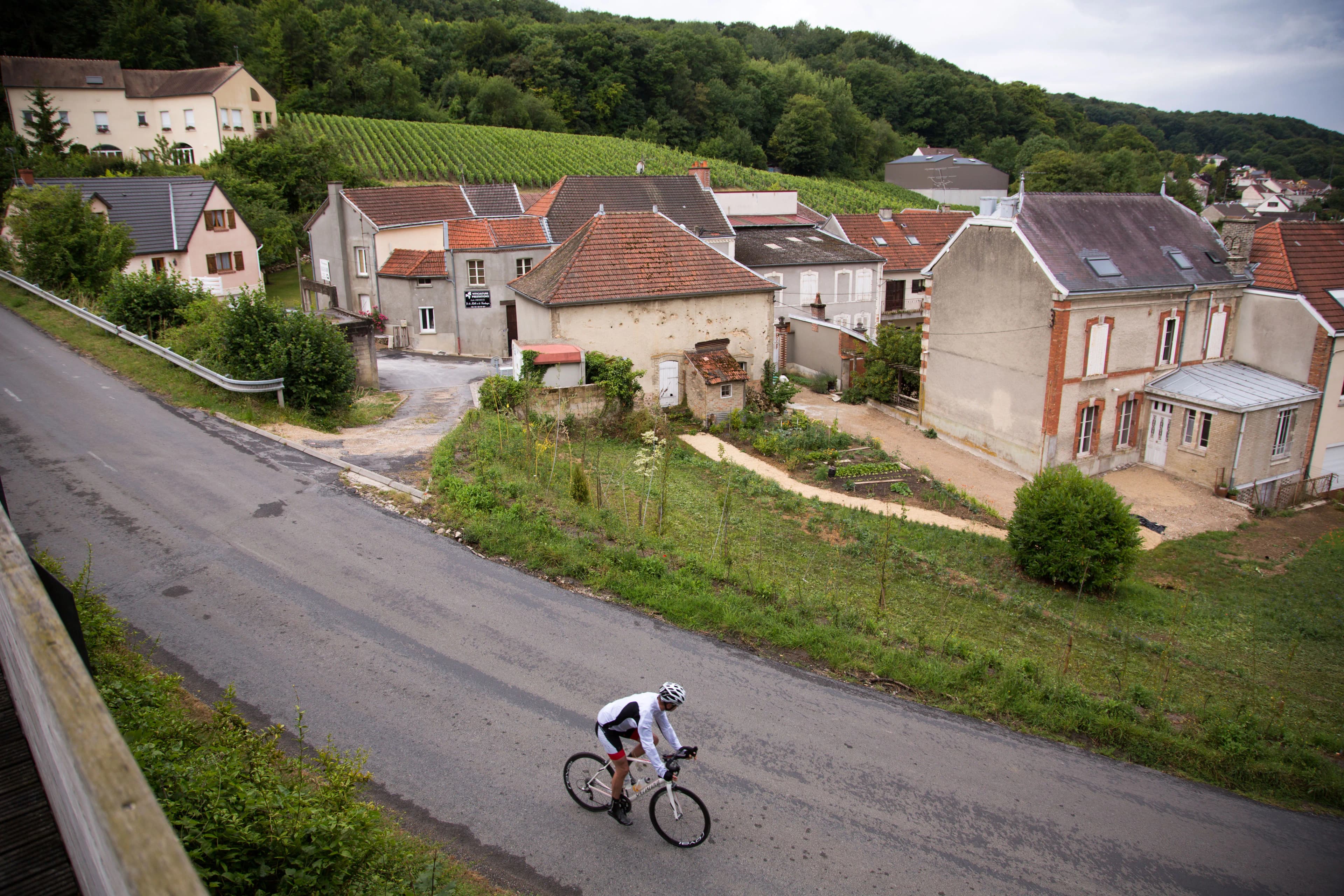 Cyclists riding along a rural road