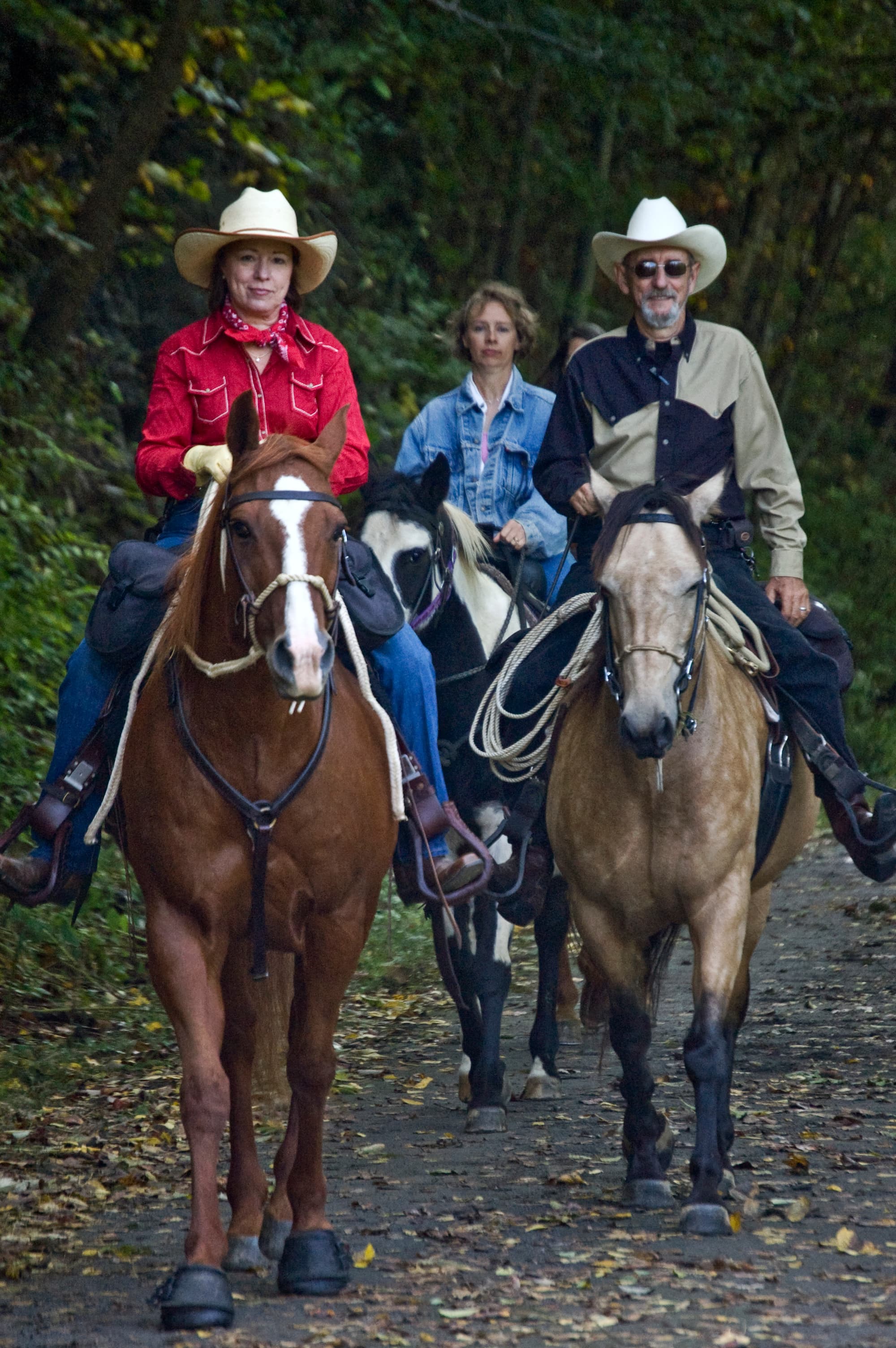 Horse riders on a trail route