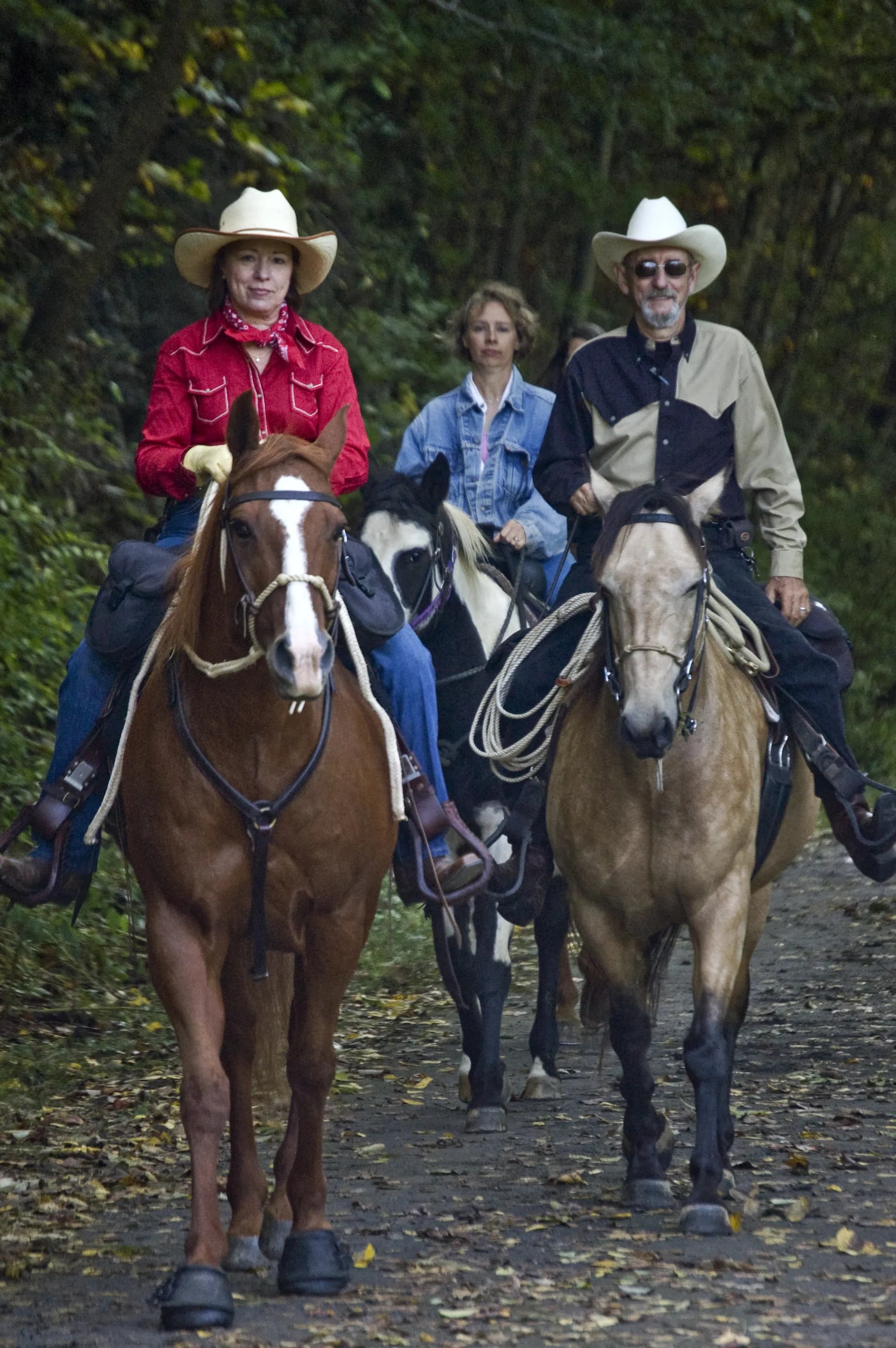 Horse riders on a trail route