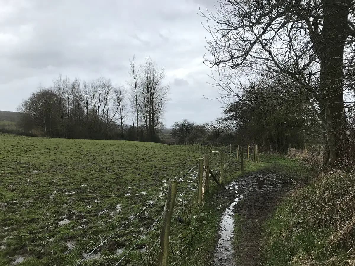Muddy Cotswold Way footpath after rain