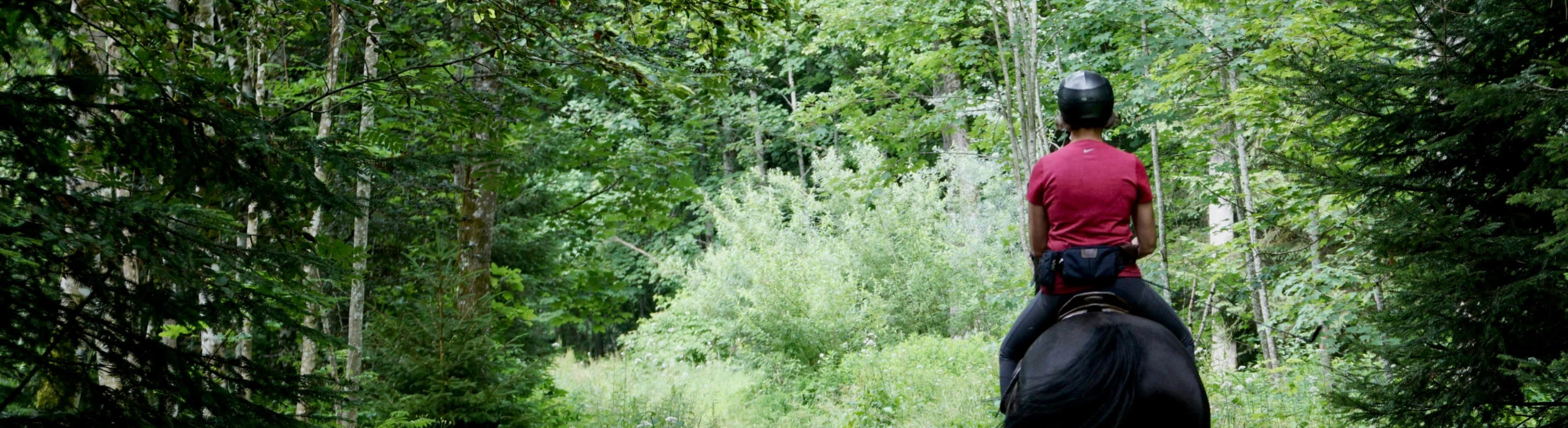 Horse riding route in the Cotswolds