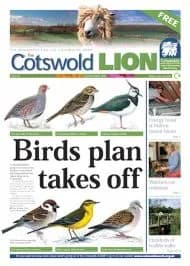 Cover of Cotswold Lion Issue 20
