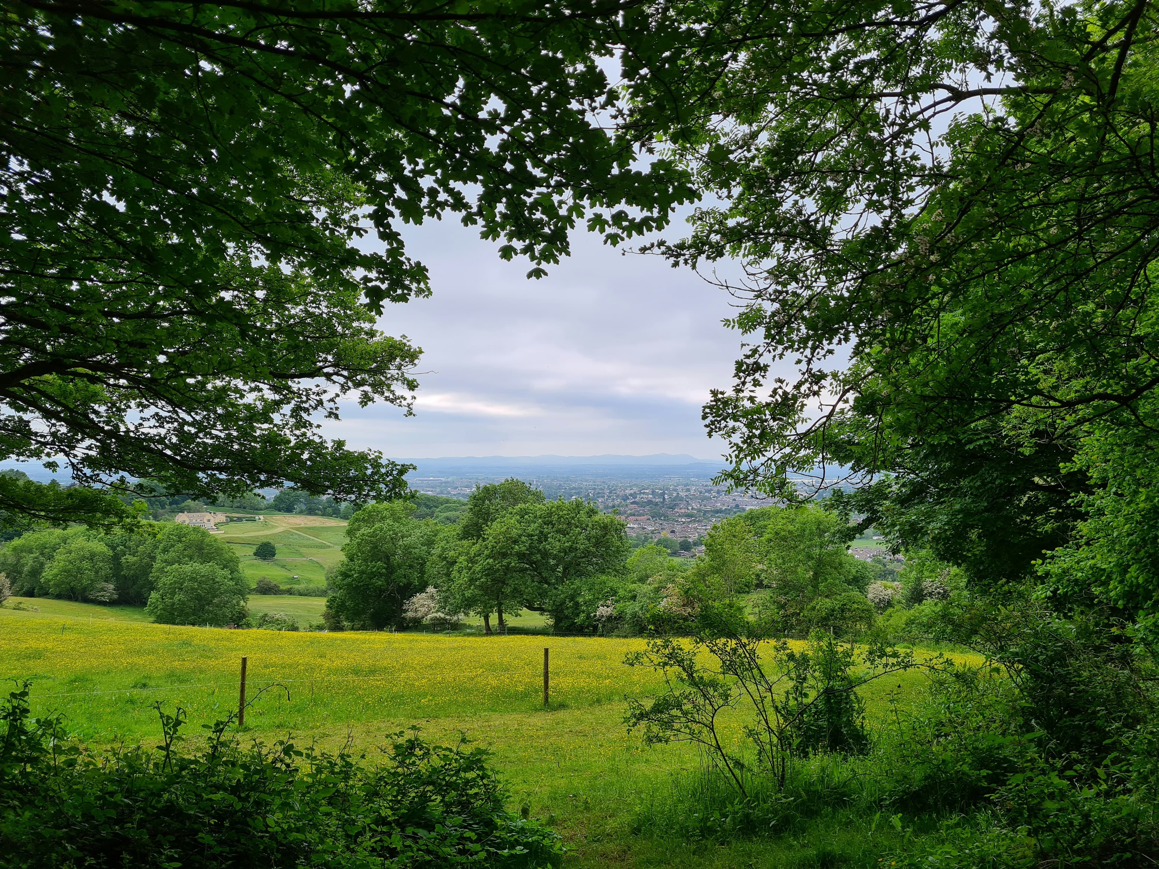 Path and open landscape on the Cotswolds
