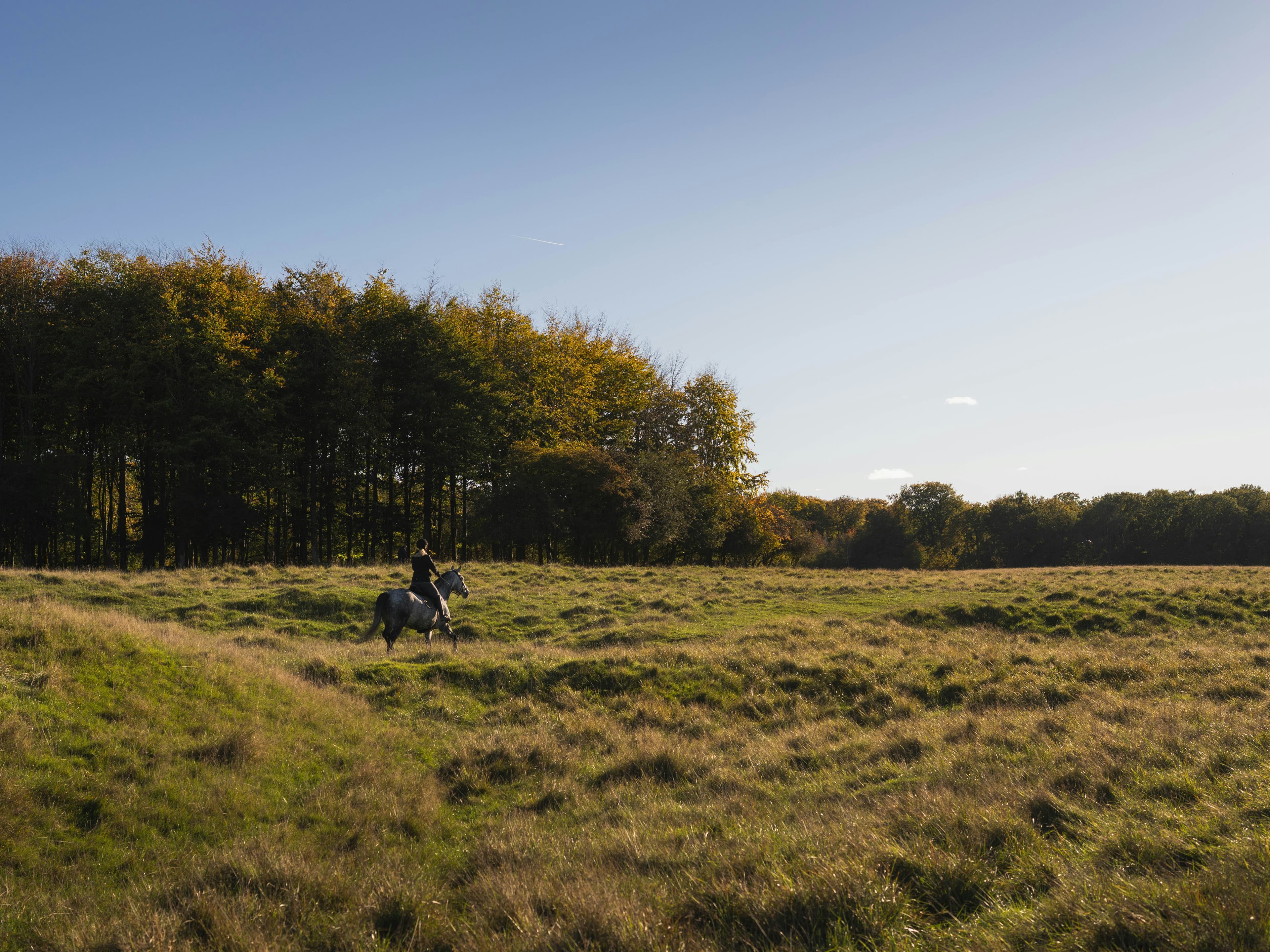 Horse-riding route through Cotswold countryside