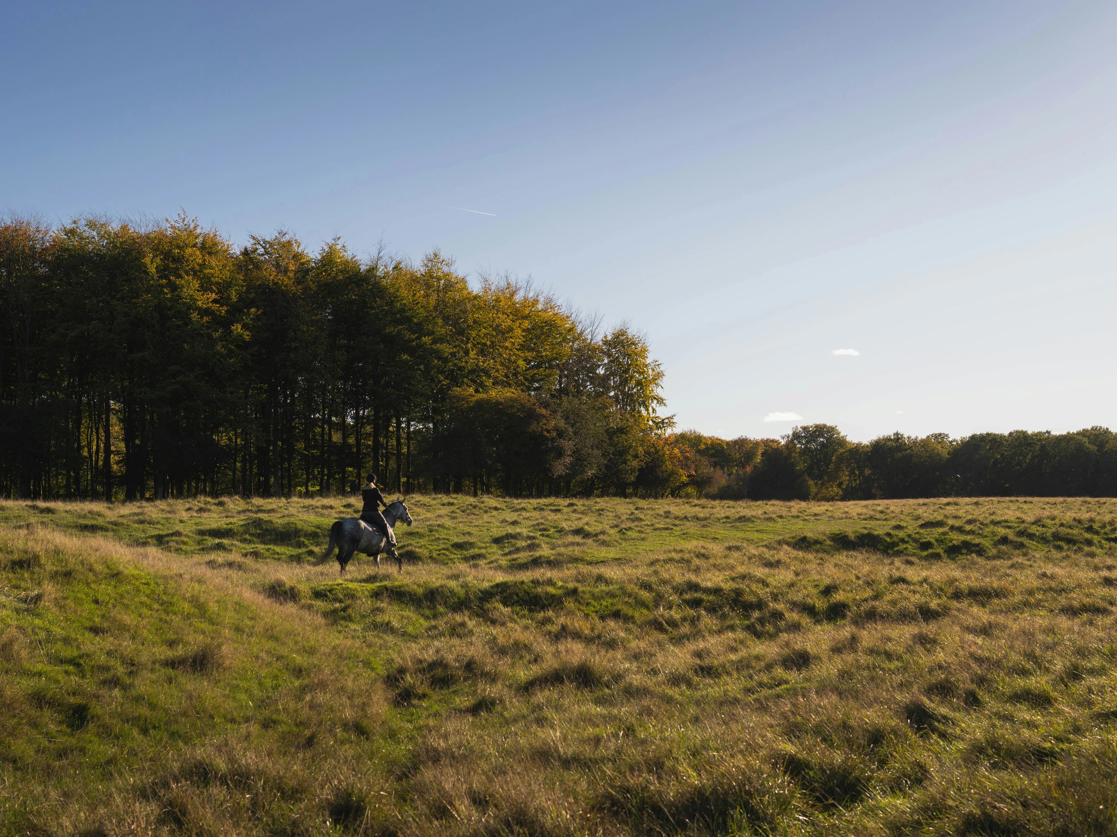 Horse-riding route through Cotswold countryside