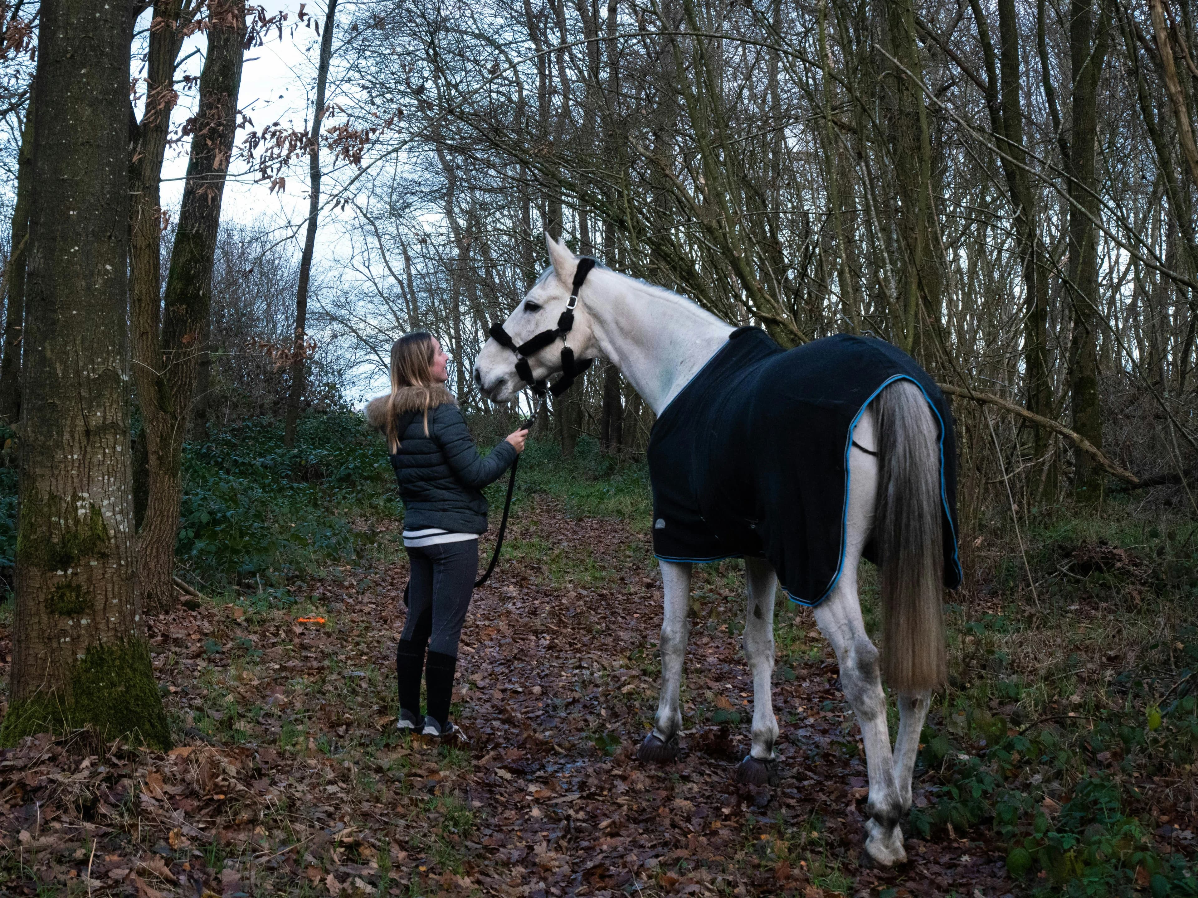 Rider and horse on a Cotswold bridleway