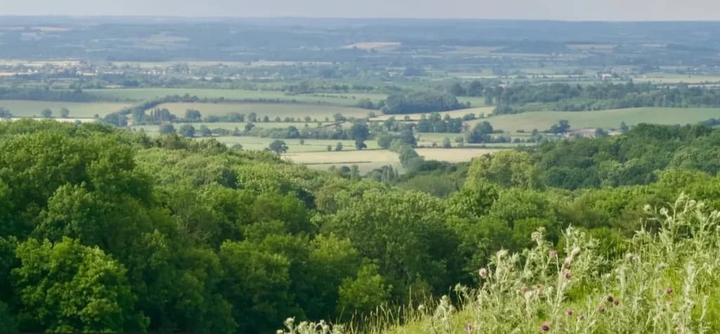 Panoramic view from Dover's Hill across rolling green fields and the Vale of Evesham