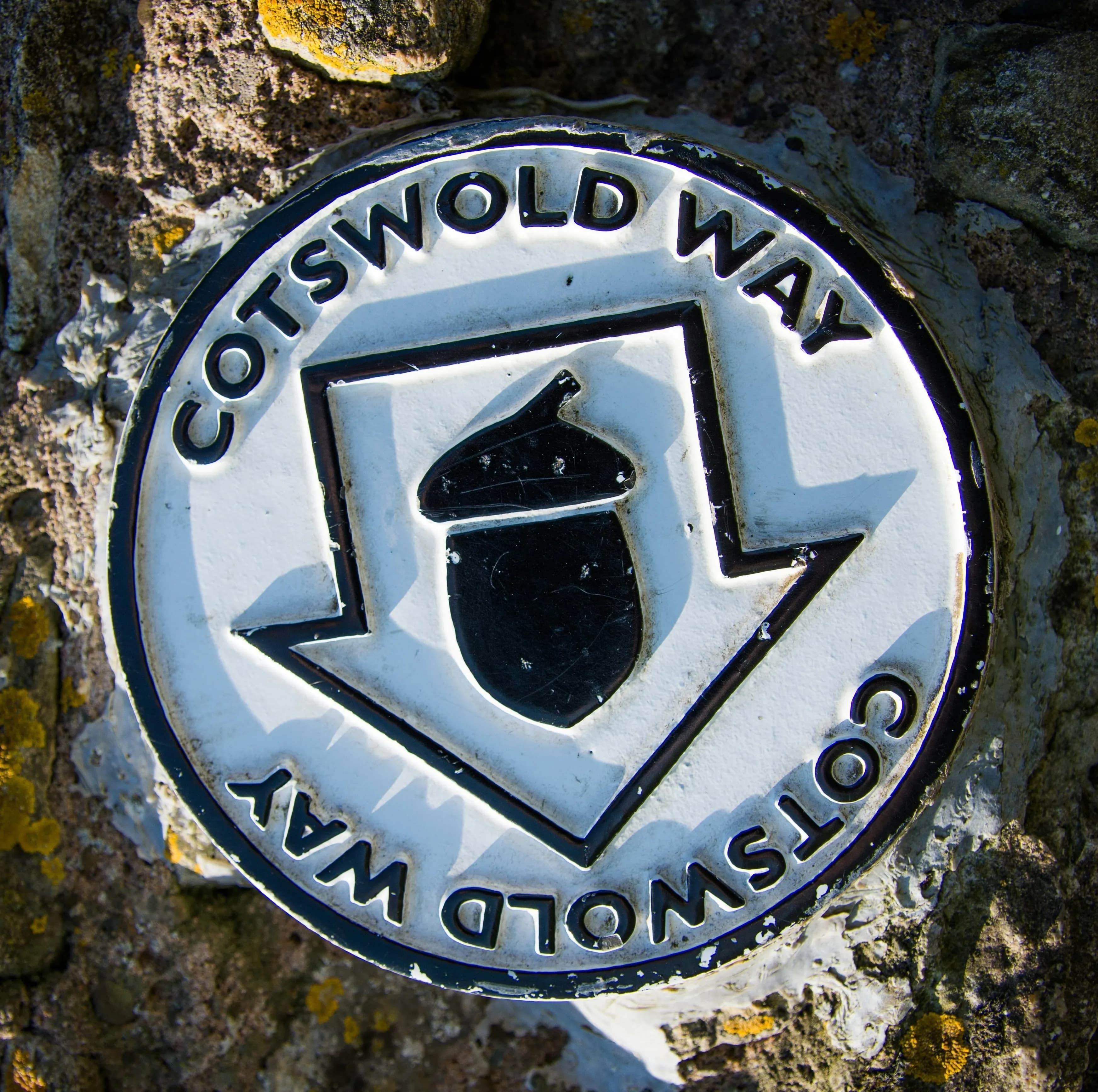 Cotswold Way trail marker on a wooden post
