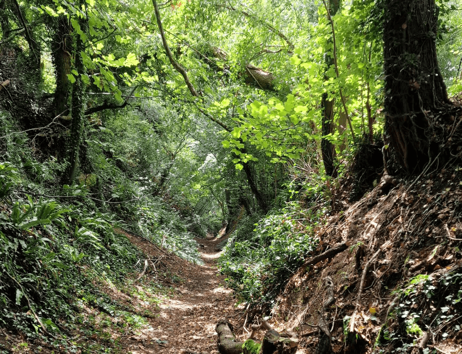 Wotton to Under to Edge to Hawkesbury Upton