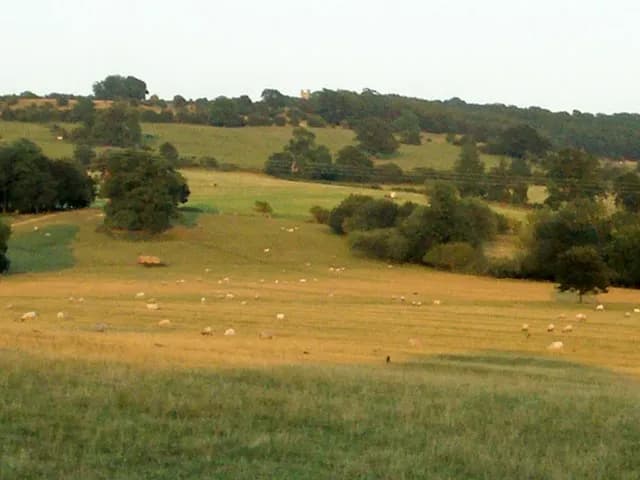 Cotswold escarpment fields with Broadway Tower on the distant ridge