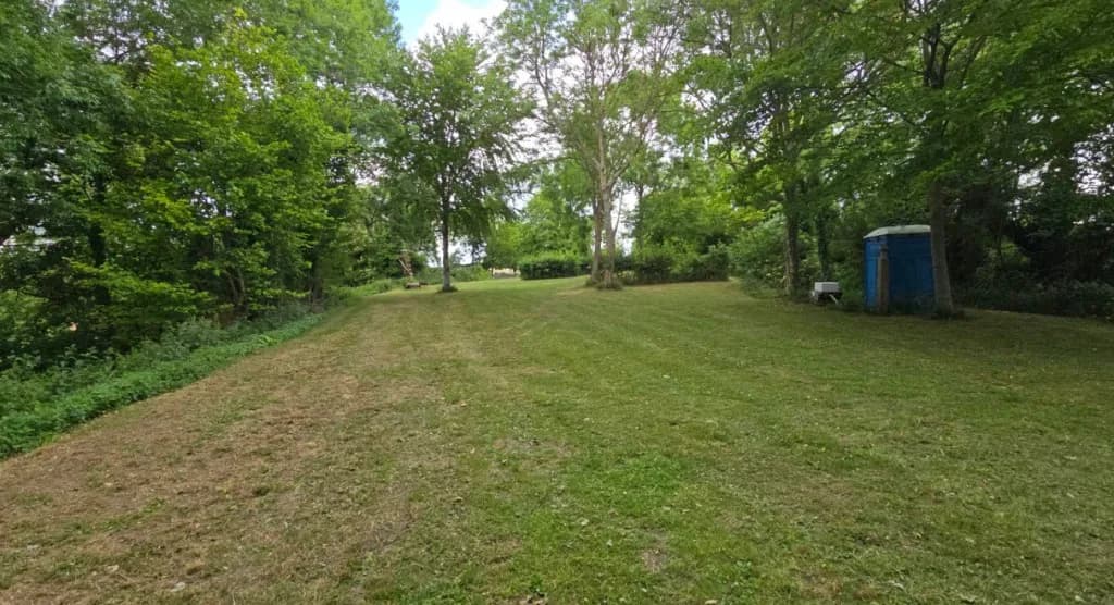 Quiet grassy clearing at Colgate Farm Campsite bordered by trees