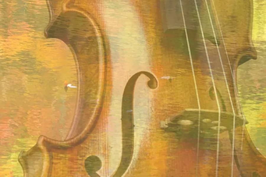 Chamber orchestra performing at Stroud Arts Festival