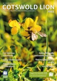 Cover of Cotswold Lion Issue 41