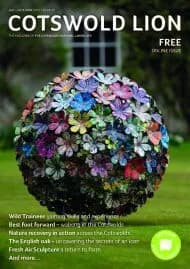 Cover of Cotswold Lion Issue 47