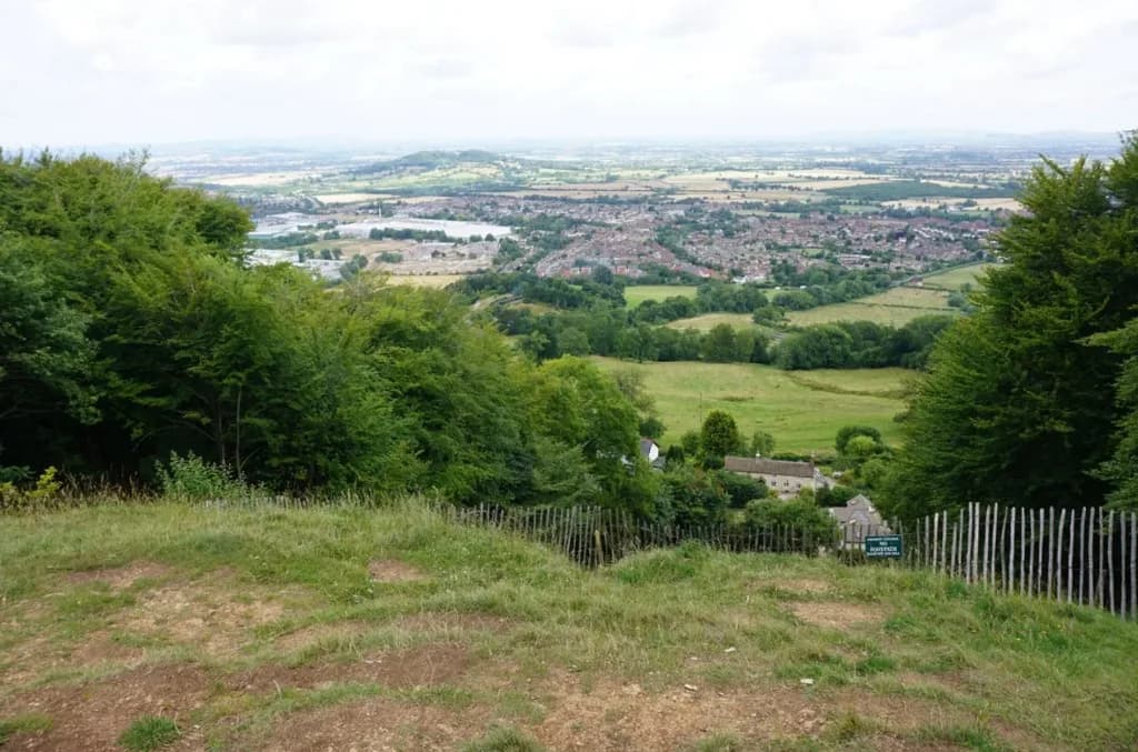 View from Cooper's Hill over a wooden fence toward the Severn Vale, with woodland on the scarp and a town in the valley below